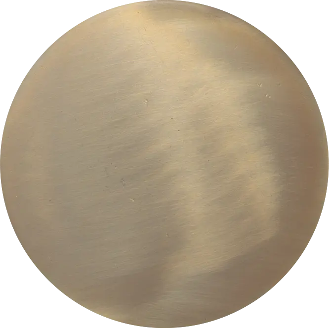 Customization Guidelines